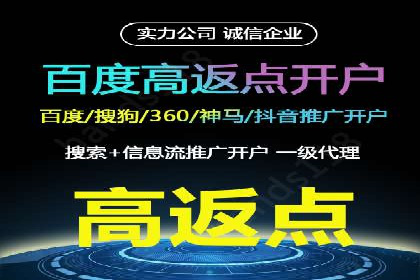 百度推广实战技巧：案例详解